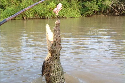 Litchfield National Park And Jumping Crocodile Cruise - Attractions Perth 2