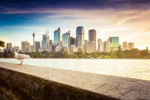 Private Sydney City And Bondi Beach Half Day Tour - Attractions Perth 2