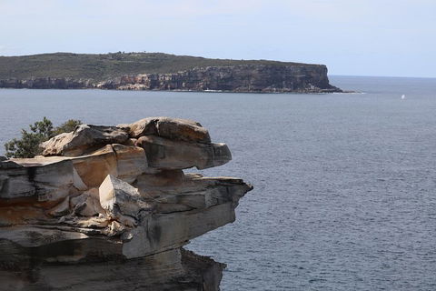 Private Sydney City And Bondi Beach Half Day Tour - Attractions Perth 3
