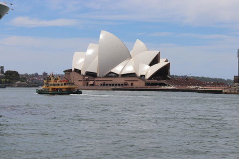 Private Sydney City And Bondi Beach Half Day Tour - Attractions Perth 5