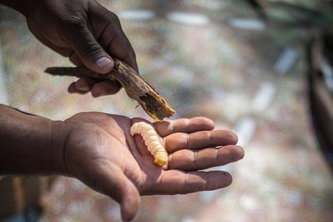 Karrke Aboriginal Cultural Experience - Attractions Perth 3