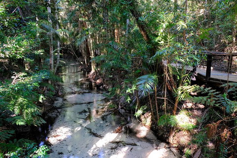 Fraser Island 4WD Tour From Rainbow Beach - Attractions Perth 0