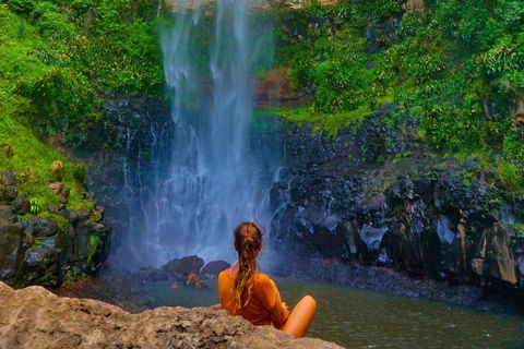 Rainforest & Waterfalls Extravaganza - Attractions Perth 2