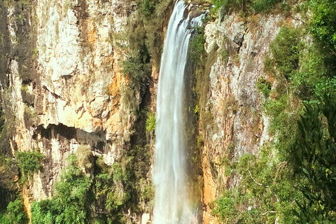 Rainforest & Waterfalls Extravaganza - Attractions Perth 3