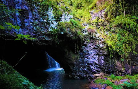 Rainforest & Waterfalls Extravaganza - Attractions Perth 5