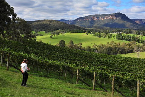 Private Blue Mountains And Winery Day-Trip From Sydney - Attractions Perth 2