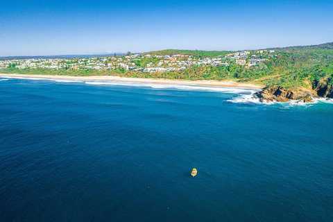 Noosa Oceanrider Scenic Dolphin Safari - Attractions Perth 4