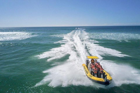 Noosa Oceanrider - Adventure Tour - Attractions Perth 2