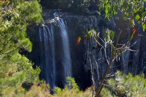 Byron Bay Hinterland Tour Including Rainforest Walk To Minyon Falls - Attractions Perth 0