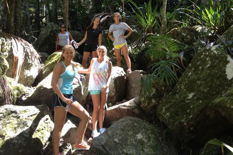 Byron Bay Hinterland Tour Including Rainforest Walk To Minyon Falls - Attractions Perth 3