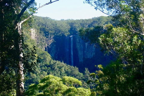 Byron Bay Hinterland Tour Including Rainforest Walk To Minyon Falls - Attractions Perth 4