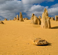 The Pinnacles Sea and Dunescapes Bush Reserve and Sunset Day Tour - Attractions Perth