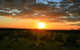 The Pinnacles, Sea And Dunescapes, Bush Reserve And Sunset Day Tour - thumb 3
