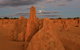 The Pinnacles, Sea And Dunescapes, Bush Reserve And Sunset Day Tour - thumb 4
