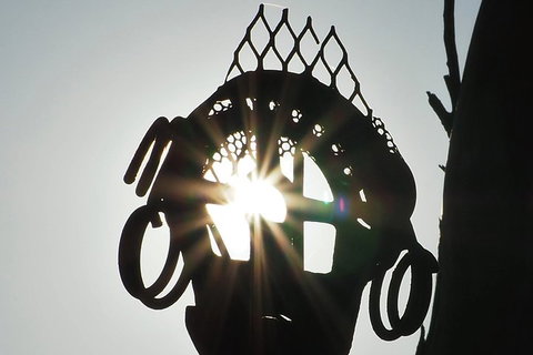 Wave Rock, Wild Flowers And Astro Photography - Attractions Perth 4