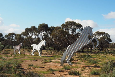 Wave Rock, Wild Flowers And Astro Photography - Attractions Perth 5