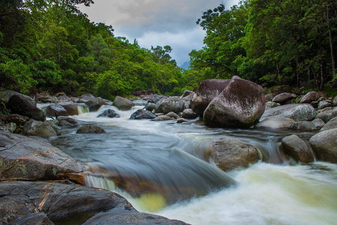 Cape Tribulation Day Tour - Attractions Perth 0