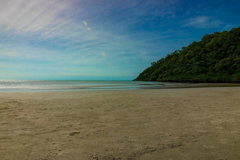 Cape Tribulation Day Tour - Attractions Perth 2