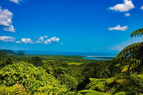 Cape Tribulation Day Tour - Attractions Perth 3