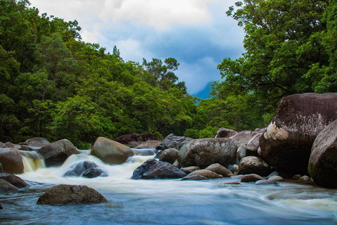 Cape Tribulation Day Tour - Attractions Perth 4