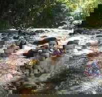 Daintree Rainforest Cape Tribulation Mossman Gorge Small-Group Day Tour - Attractions Perth