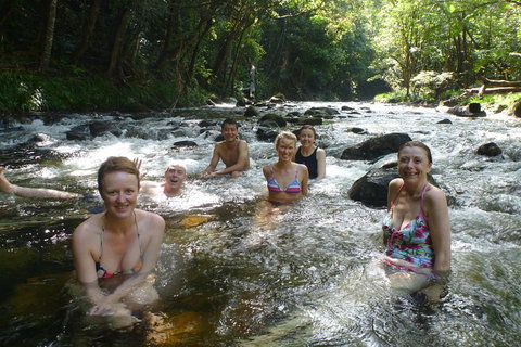 Daintree Rainforest, Cape Tribulation, Mossman Gorge Small-Group Day Tour - Attractions Perth 0