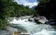 Daintree Rainforest, Cape Tribulation, Mossman Gorge Small-Group Day Tour - thumb 5