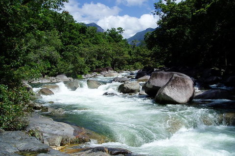 Daintree Rainforest, Cape Tribulation, Mossman Gorge Small-Group Day Tour - Attractions Perth 5