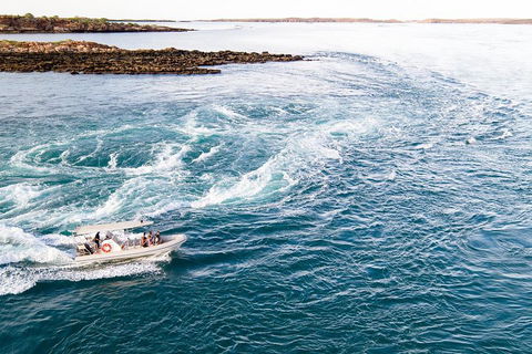 Giant Tides Tour - Cygnet Bay Pearl Farm - Attractions Perth 4