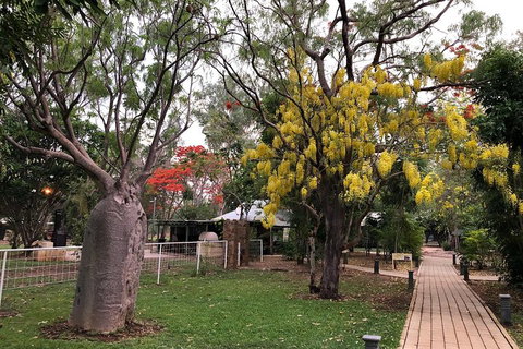 Wet Season Mitchell Falls Tour - Mitchell Falls, Horizontal Falls & Cygnet Bay - Attractions Perth 1