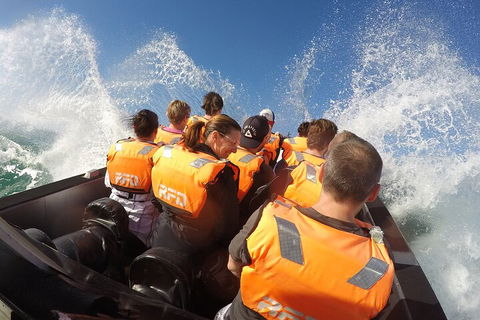 Noosa Thriller - 500hp Ocean Adventure Ride - Attractions Perth 4