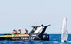 Noosa Whale Watching - thumb 4