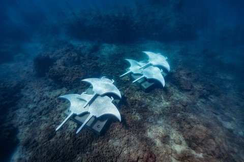 Premium Private Charter - Attractions Perth 3