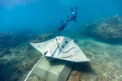Premium Private Charter - Attractions Perth 5