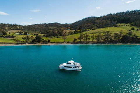 Deep-to-Dish: Tasmanian Seafood Experience - Attractions Perth 0