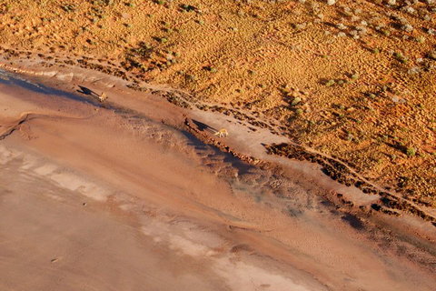 Scenic Flight: Lizard Safari - Attractions Perth 0