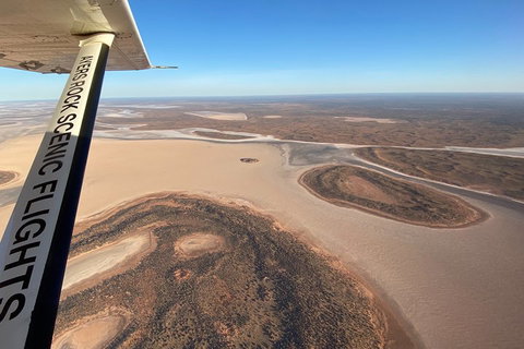 Scenic Flight: Lizard Safari - Attractions Perth 3