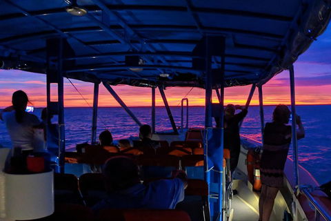 Darwin Sunset Cruise Including Fish 'n' Chips - Attractions Perth 1