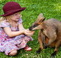 Kuranda Day Tour  HotAir Balloon Combo - Attractions Perth