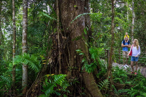 Kuranda Day Tour + HotAir Balloon Combo - Attractions Perth 3