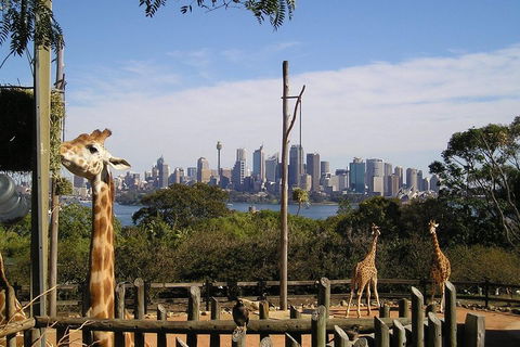 Sydney Taronga Zoo's Australian Animals Tour - Attractions Perth 4