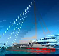 Passions of Paradise Great Barrier Reef Snorkel and Dive Cruise from Cairns by Luxury Catamaran - Attractions Perth