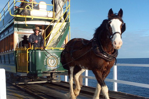 Full-Day Tour In South Australia Highlights - Attractions Perth 1