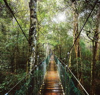 O'Reilly's  Lamington National Park from Gold Coast - Attractions Perth