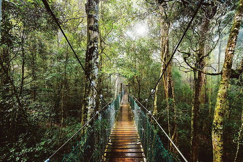 O'Reilly's & Lamington National Park From Gold Coast - Attractions Perth 0