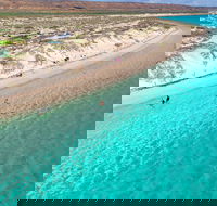 Ningaloo in a Day - Full Day Hike and Snorkel Tour with Lunch - Attractions Perth