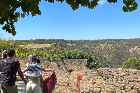 Private Mclaren Vale Wine Tour - Attractions Perth 2
