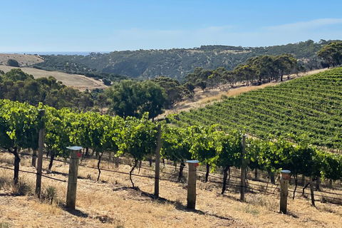 Private Mclaren Vale Wine Tour - Attractions Perth 3