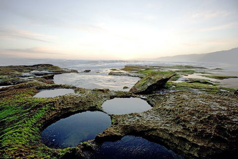 LGBT+ Friendly 3 Day Private Tour Great Ocean Road & Phillip Island - Attractions Perth 5
