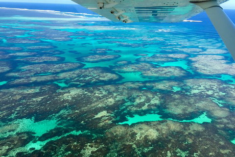 Shipwreck Special Full Day Tour Of The Abrolhos Islands - Attractions Perth 1